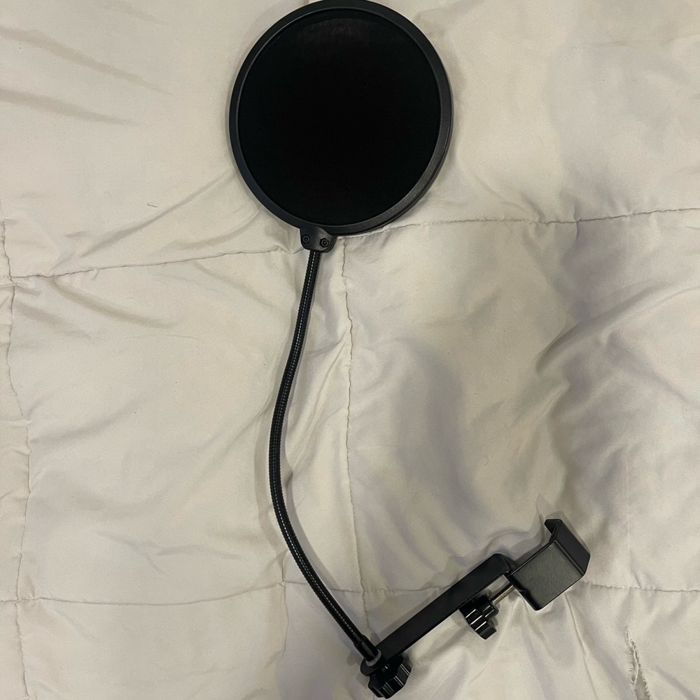 Microphone filter